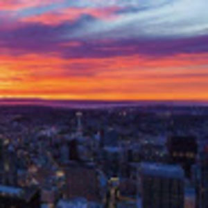 Meet your Posher, Oscar